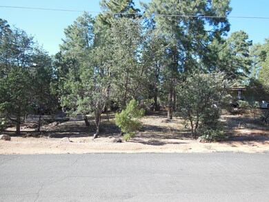 1008 N Chalet Cir, Payson, AZ 85541 - photo 3
