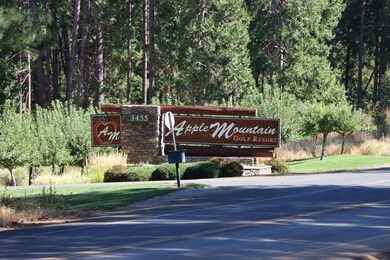 3435 Carson Ct, Camino, CA 95709 - photo 5