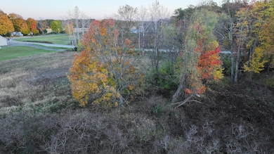 V/L 136th St, Sand Lake, MI 49343 - photo 7