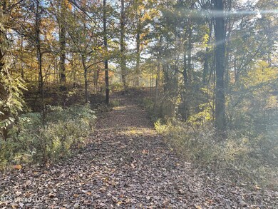 Street View - Driveway