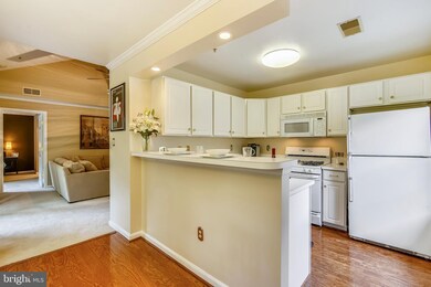 127 Timberbrook Ln unit 304, Gaithersburg, MD 20878 - photo 7