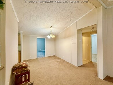 630 Trace Creek Rd, Hamlin, WV 25523 - photo 6