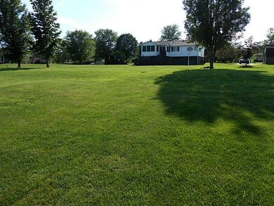 Yard/Garden.