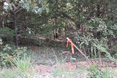 Survey Marker