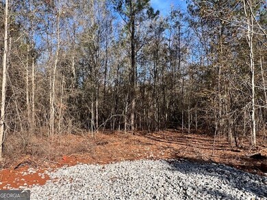 150 Berry Rd, Barnesville, GA 30204 - photo 6