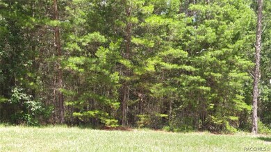 48 Village Center Dr, Homosassa, FL 34446 - photo 2