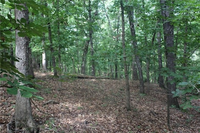 298 E Fox Creek Rd, Flint Creek, OK 74347 - photo 3