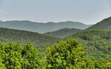 Additional View