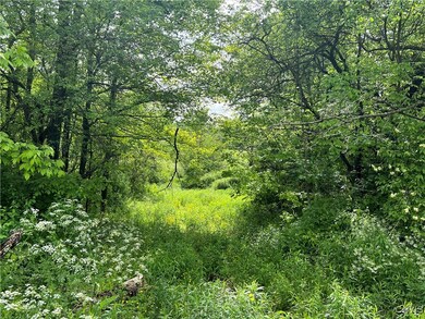view from the road