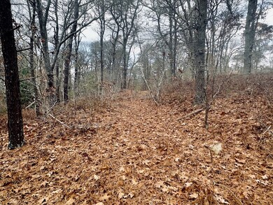 0 Paula Ave, Tisbury, MA 02568 - photo 3