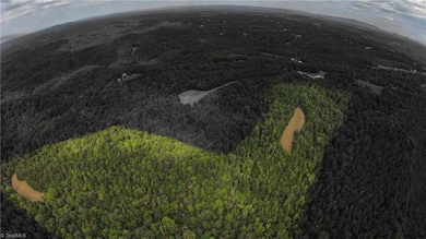 00 Peewee Cromer Rd, Danbury, NC 27016 - photo 4