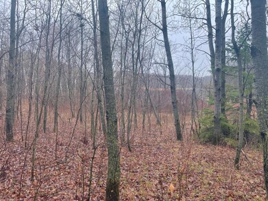 TBD Marble Dr, Cushing, MN 56443 - photo 7