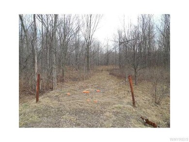 Land/Lot.