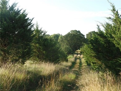 14830 S Highway 43, Siloam Springs, AR 72761 - photo 3