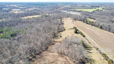 +/-26 Ac Mitchell Farm Rd, Statesville, NC 28625 - photo 3