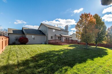 Big Backyard