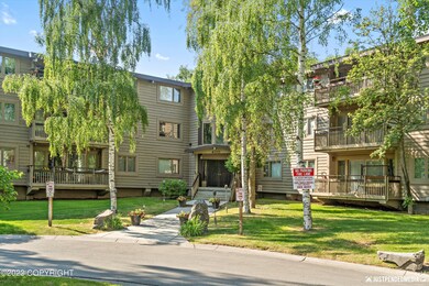 03-DSC09217