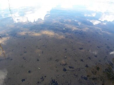 27954 Hwy Ff, Webster, WI 54893 - photo 5