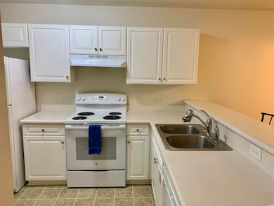 Kitchen featuring under cabinet range hood, white appliances, a sink, white cabinetry, and light countertops