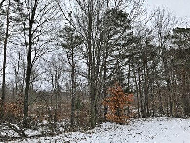IMG_0350
