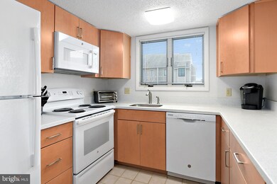 3101 Skipjack Ln, Ocean City, MD 21842 - photo 5