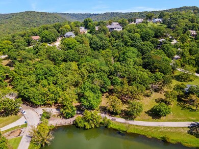 50 Irish Hills Blvd, Kimberling City, MO 65686 - photo 7