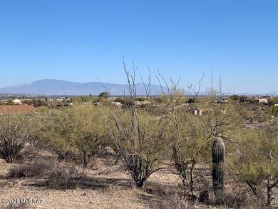 SE Rincon Mountain View