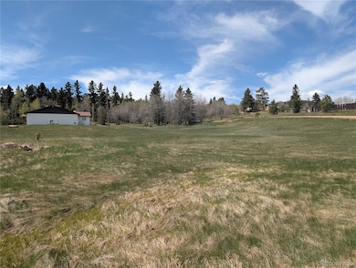 Lot83 + 84 Fountain Dale Ln, Divide, CO 80814 - photo 2