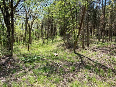 10+ acres of woods scattered throughout the proper