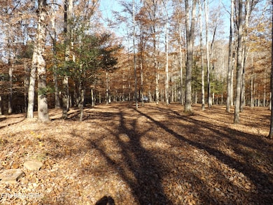 TBD Rt 516 Old Cross Rd, Pineville, KY 40977 - photo 4