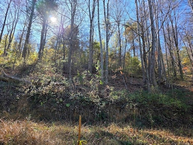 TBD Pilot Rd, Riner, VA 24149 - photo 4