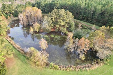 2900 Massee Post Rd, Adel, GA 31620 - photo 3