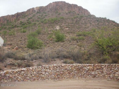 Backyard view