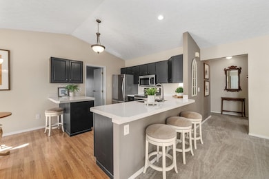 9-web-or-mls-DSC03268