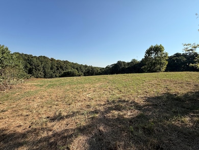 46A Lafferty Rd, Mount Pleasant, AR 72561 - photo 4