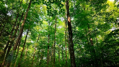 LOTS 6/7 Tower Rd, Crandon, WI 54520 - photo 2