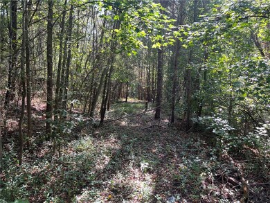 124 S Kelley St, Tallapoosa, GA 30176 - photo 4