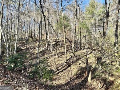 0 Bahn Innsbruck unit 10656187, Helen, GA 30545 - photo 6