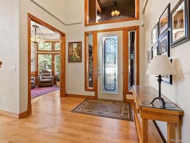 20906 Horse Bit Way, Morrison, CO 80465 - photo 7