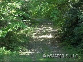 Lane to knoll homesite