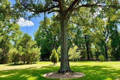 31802 Highway 25, Franklinton, LA 70438 - photo 3