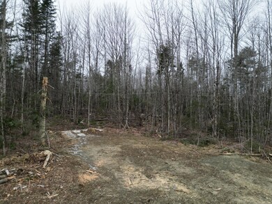 Lot 52.3 Lagrange Rd, Howland, ME 04463 - photo 6