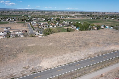 TBD Sunset Mesa Lot 3 Rd, Montrose, CO 81403 - photo 7