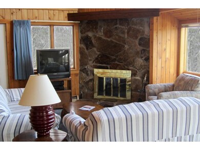 698 S Hill Rd, Ludlow, VT 05149 - photo 7