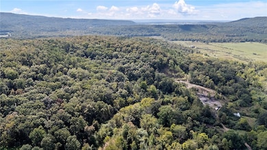 TRACTS 2 & 3 - 13610 Arkansas 105, Hector, AR 72843 - photo 5