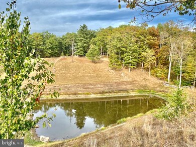 164 Treetop Ln, Berkeley Springs, WV 25411 - photo 2