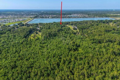 30647 Elam Rd, Wesley Chapel, FL 33545 - photo 7