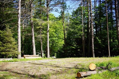 905 Ski Tow Rd, West Windsor, VT 05037 - photo 5