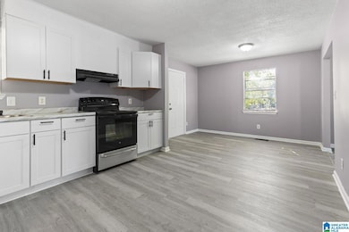 245 13th Ave NE, Birmingham, AL 35215 - photo 6