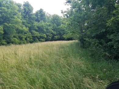 10 Baxter Ridge Rd, Lawrenceburg, KY 40342 - photo 4